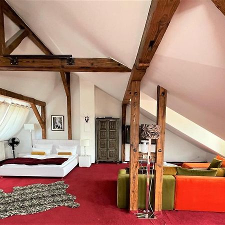 City Penthouse Mit Dachterrasse Freiburg im Breisgau Kültér fotó