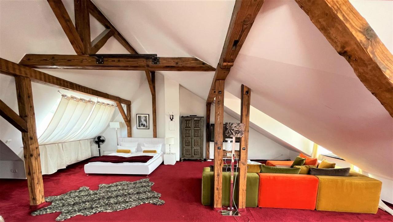 City Penthouse Mit Dachterrasse Freiburg im Breisgau Kültér fotó